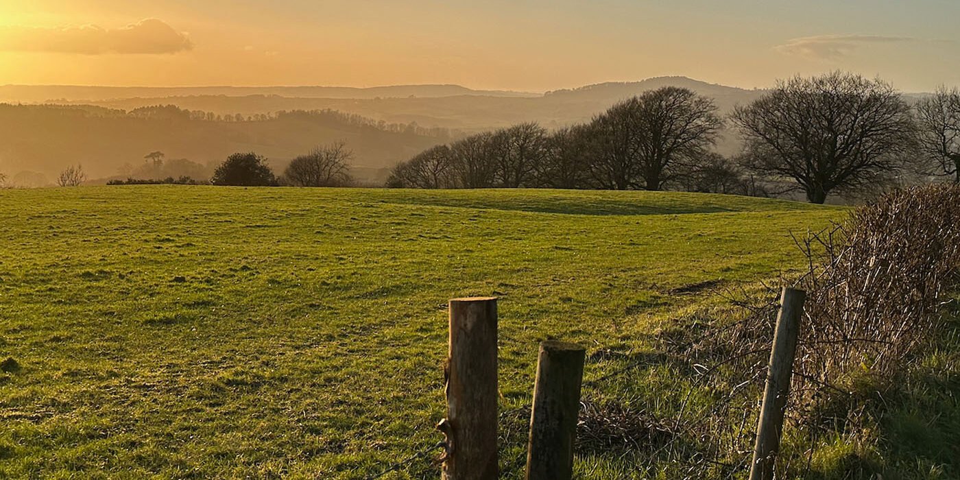 near Hooke, Beaminster